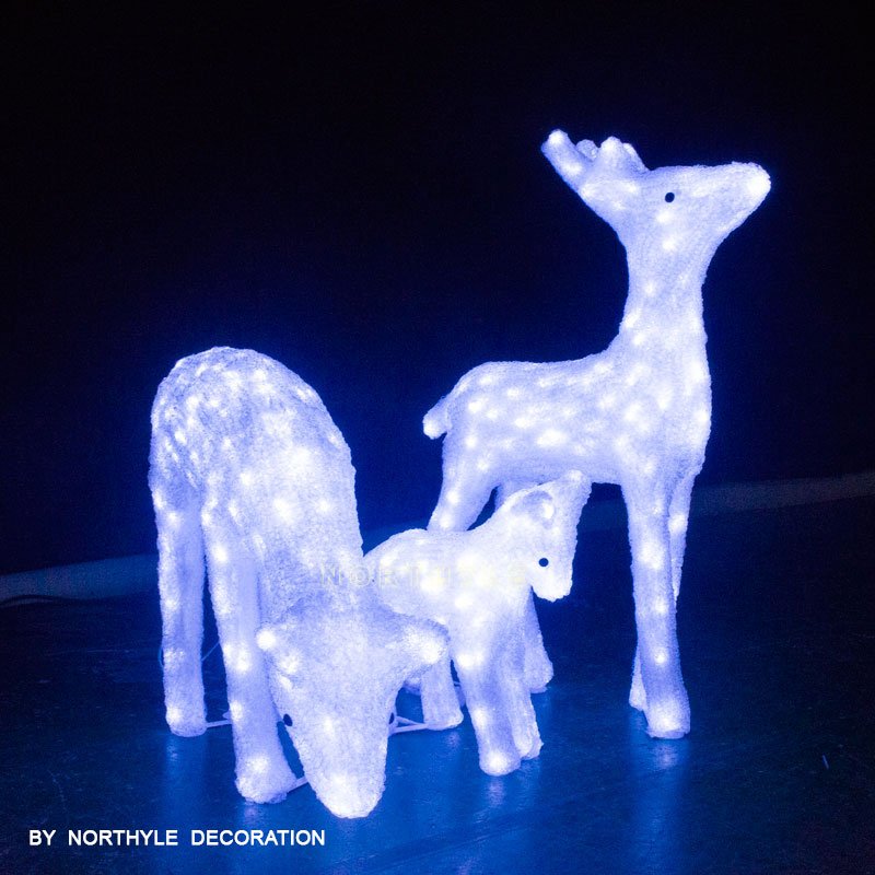 cool white deer family