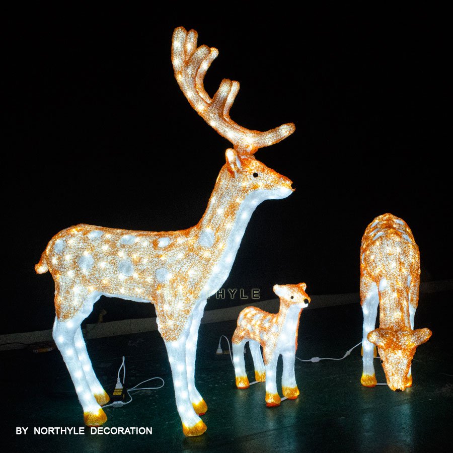 xmas reindeer lights family