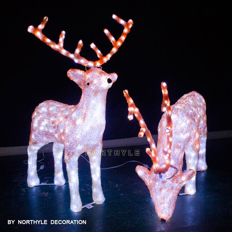 reindeer 2