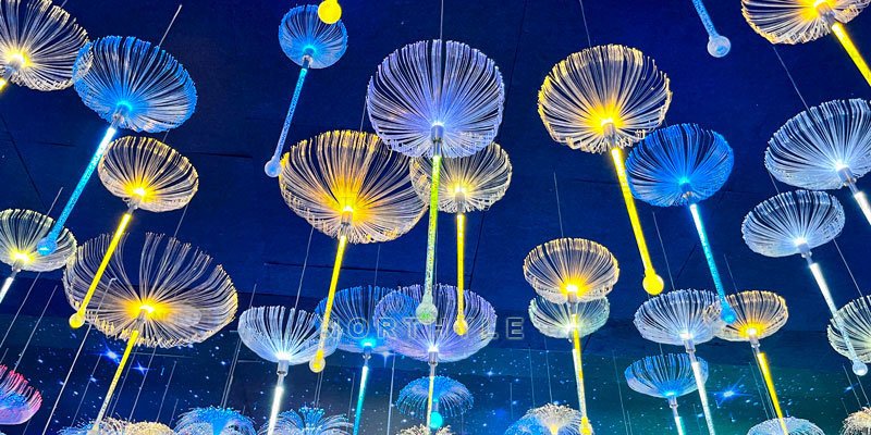 fiber optisc jellyfish light