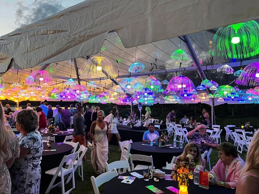 fiber light decoration for party