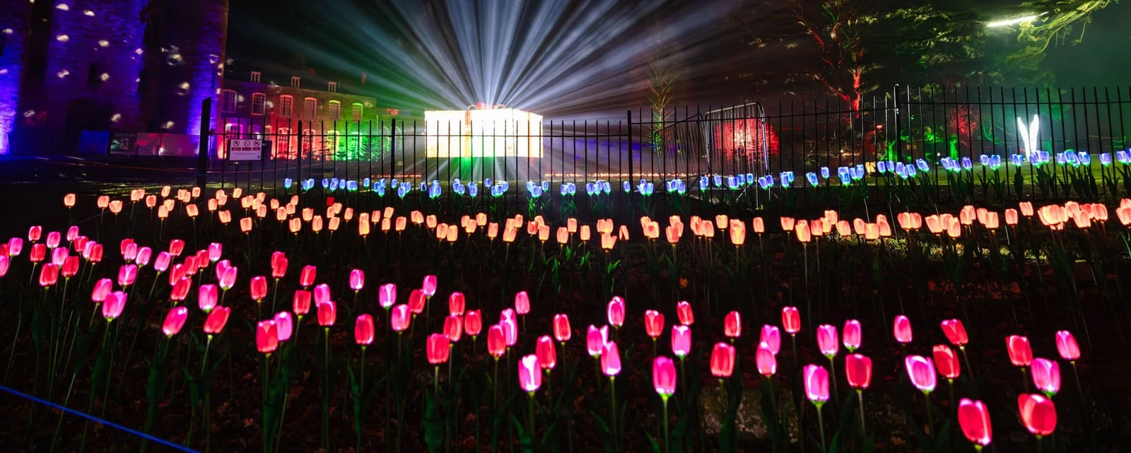 garden flower lighting decoration